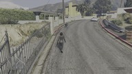 Grand Theft Auto V online misja pożądkowa