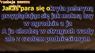 Czerwone Gitary - Ciągle pada - z linią melodyczną ( karaoke )