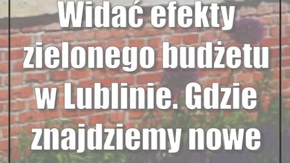 Widać efekty zielonego budżetu w Lublinie.  Gdzie znajdziemy nowe skwery?
