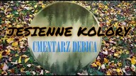 2020 | JESIENNE KOLORY | CM.  DĘBICA |
