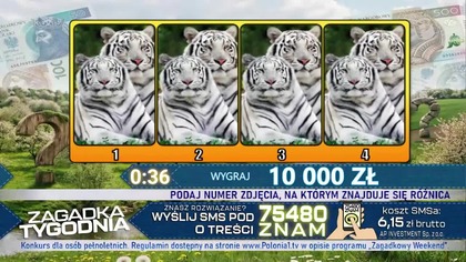 Polonia 1 - "Zagadka Tygodnia" (wersja 30 min.) (07. 04. 2026)