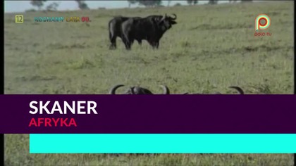 Skaner - Afryka 1080p