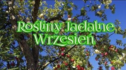 2283.  Rośliny Jadalne Wrzesień