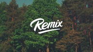 Zbigniew Stonoga ft.  Dawid Podsiadło - Małomiasteczkowy REMIX