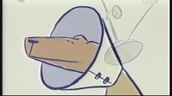 Wsp&oacute;lnota (2002)
