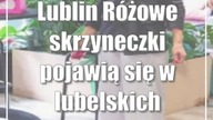 Lublin: Różowe skrzyneczki pojawią się w lubelskich szkołach