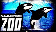 10 NAJCIEKAWSZYCH ZOO NA SWIECIE