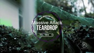 Teardrop/Massive Attack 528 Hz Akari Aryaca EDIT