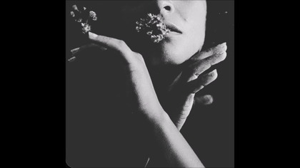 SCHMERZ - Lacuna