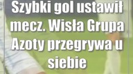 Szybki gol ustawił mecz.  Wisła Grupa Azoty przegrywa u siebie