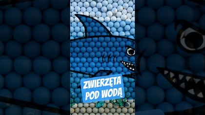 Zwierzęta pod wodą z piłkami - rekin