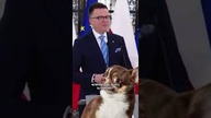 HIT.  HOŁOWNIA SKAMLE JAK CHIHUAHUA.  MARSZAŁEK ODPOWIADA NA SŁOWA MENTZENA