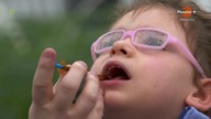 Marihuana - cudowne lekarstwo (Cannabis, Wonderdrug)  480p. (2018) Lektor PL