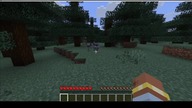 Cool chickens #game #minecraft #gaming #Short #Shorts