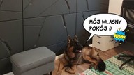Jak wykonać ścianę z betonu architektonicznego 3D? VHCT