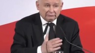 kaczy zbuk w Oleśnicy