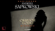 20 Wiedzmin Miecz przeznaczenia - Okruch lodu - CDA
