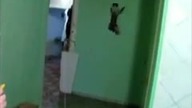 Koci mistrz wspinaczki
