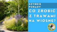 #SHORTS Które trawy ozdobne ścinać, a które wyczesywać?