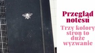 Papierowa moc, czyli przegląd jedenastego bullet journala | Bujo flip through | Archer & Olive