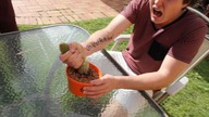 CoP - Cactus Grab