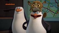 Pingwiny z Madagaskaru -S03E69 [PL][HD]