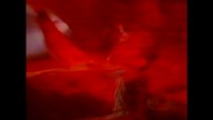 Uciekinier..VID-1692815761387