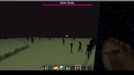 I dont know what the message is supposed to be here, but yes, you have a crowd of angry Endermans
