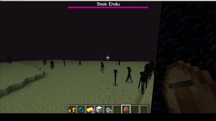 I dont know what the message is supposed to be here, but yes, you have a crowd of angry Endermans