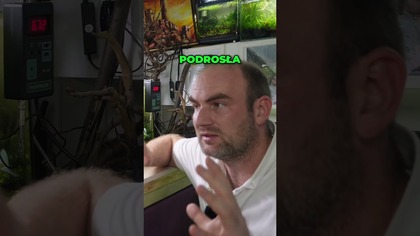 Zbiorniki na wypasie.