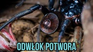 Znalazłem PRAWDZIWEGO POTWORA  Cuc Phuong