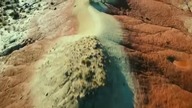 Dinozaury, olbrzymy Patagonii.  Dokument