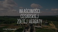 Żółta herbata: jak parzyć żółtą herbatę? Właściwości herbaty cesarzy. Czajnikowy.pl