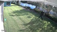 Policjant biegnie na skróty