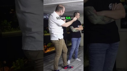 Ukryty Fish Room Sekrety Akwarysty  #akwarium