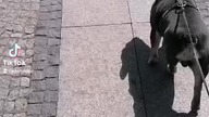 Wszystko jest OK.