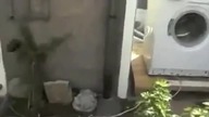 Harlem Shake w wykonaniu pralki