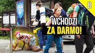 JAMUSZ W GÓRACH WCHODZI ZA DARMO