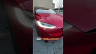 Nowe dźwięki zamykania samochodu w Tesli  Dźwięk KOZY ZAMIAST KLAKSONU? #danielgrzyb #tesla