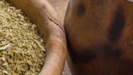 Właściwości i działanie Yerba Mate