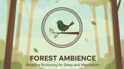 Spring Forest: Birdsong, Silence, and Deep Relaxation