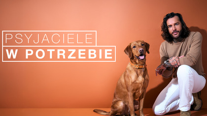 Psyjaciele w potrzebie - program online