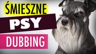 ŚMIESZNE PSY #1  DUBBING: MATT OLECH