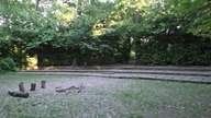 Theatre in The forest / Teatr w lesie