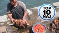 Top 10 Naj | 10 Niezwykłych zjawisk w świecie natury! :-)