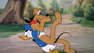 Kaczor Donald - Myjnia dla ps&oacute;w (1940)