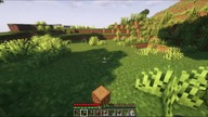 Minecraft Survival #2 Czas na Wylesianie.
