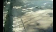 Bliskie spotkanie z lamą