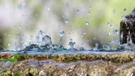 Muzyka Relaksacyjna śpiew ptak&oacute;w i padający deszcz