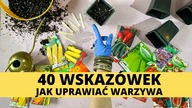 40 wskazówek jak uprawiać, wysiewać warzywa i zioła z nasion.  Jak podlewać i dbać o siewki, rozsady